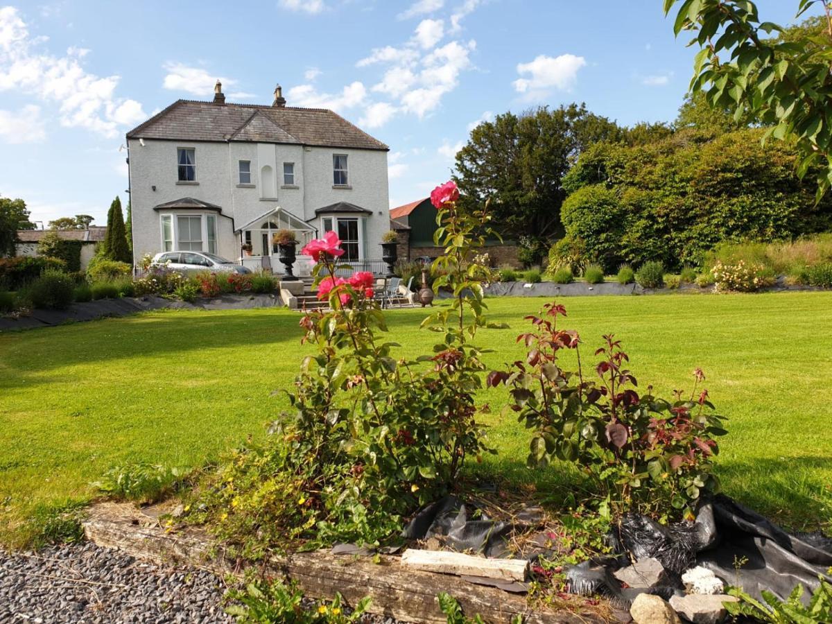 Maison d'hôtes Mount Pleasant Country House à Lucan Extérieur photo